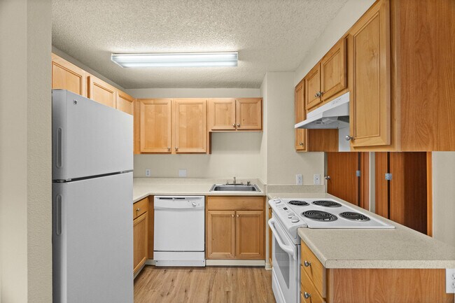 One Bedroom Standard (2) 113 floor plan